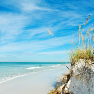 beautiful Florida coastline can help you beat your addiction when partnered with an effective detox program