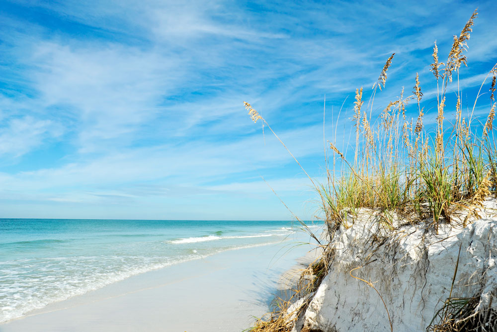 Why the Florida Coast Can’t Be Your Only Detox Tool